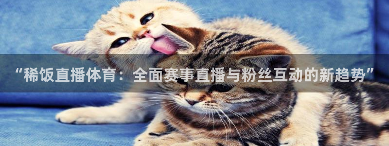 “稀饭直播体育：全面赛事直播与粉丝互动的新趋势”