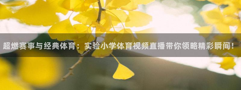 超燃赛事与经典体育：实验小学体育视频直播带你领略精彩瞬间！
