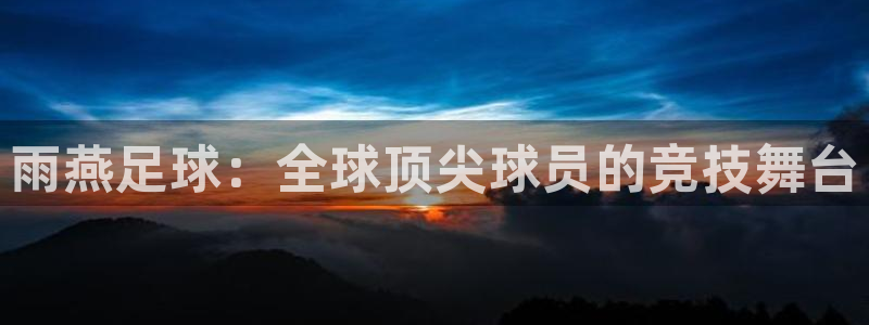 雨燕足球：全球顶尖球员的竞技舞台