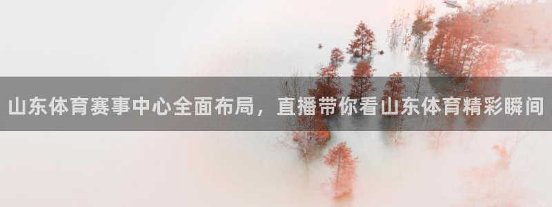 山东体育赛事中心全面布局，直播带你看山东体育精彩瞬间