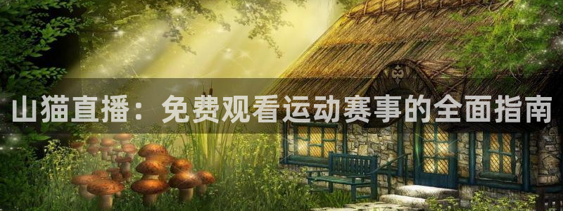 山猫直播：免费观看运动赛事的全面指南