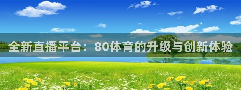 全新直播平台：80体育的升级与创新体验
