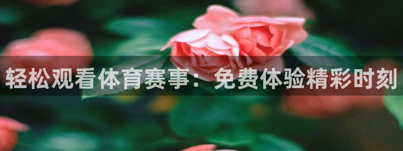 轻松观看体育赛事：免费体验精彩时刻