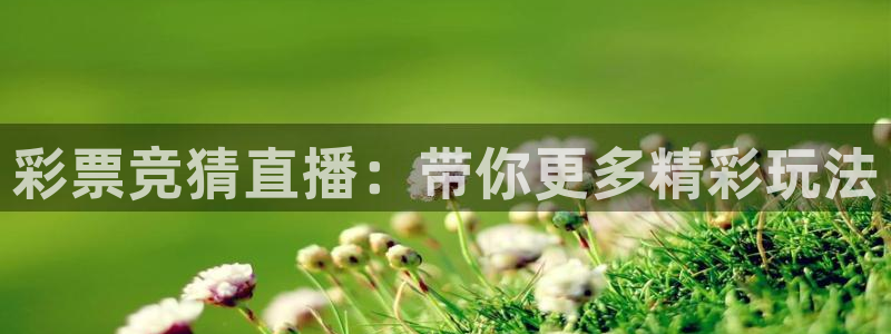 彩票竞猜直播：带你更多精彩玩法