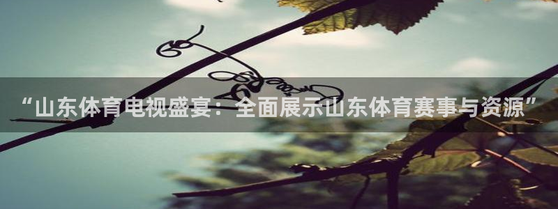 “山东体育电视盛宴：全面展示山东体育赛事与资源”
