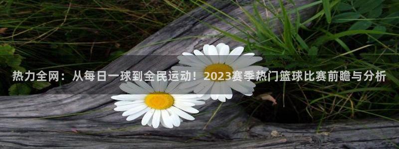 热力全网：从每日一球到全民运动！2023赛季热门篮球比赛前瞻与分析
