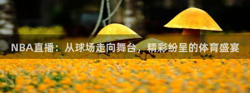 NBA直播：从球场走向舞台，精彩纷呈的体育盛宴