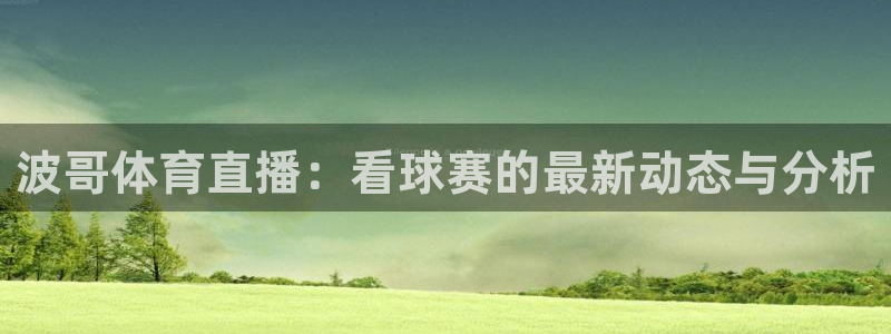 波哥体育直播：看球赛的最新动态与分析