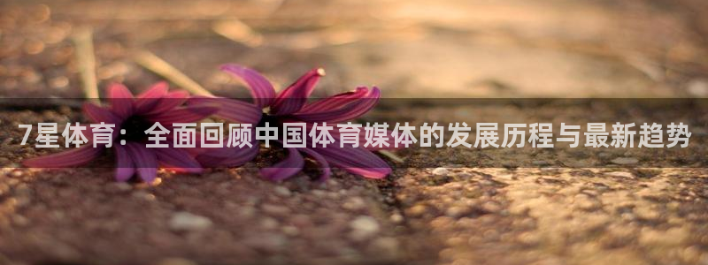 7星体育：全面回顾中国体育媒体的发展历程与最新趋势