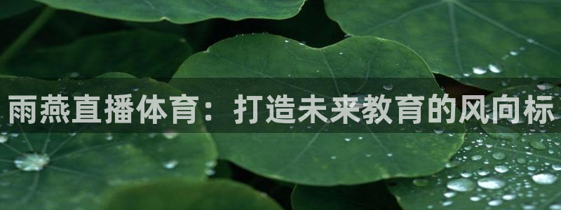 雨燕直播体育：打造未来教育的风向标
