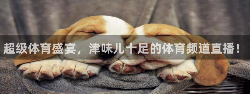 超级体育盛宴，津味儿十足的体育频道直播！