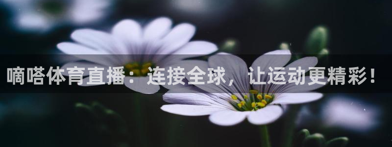 嘀嗒体育直播：连接全球，让运动更精彩！