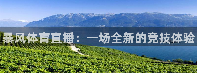 暴风体育直播：一场全新的竞技体验