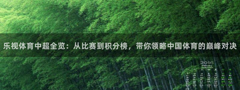 乐视体育中超全览：从比赛到积分榜，带你领略中国体育的巅峰对决